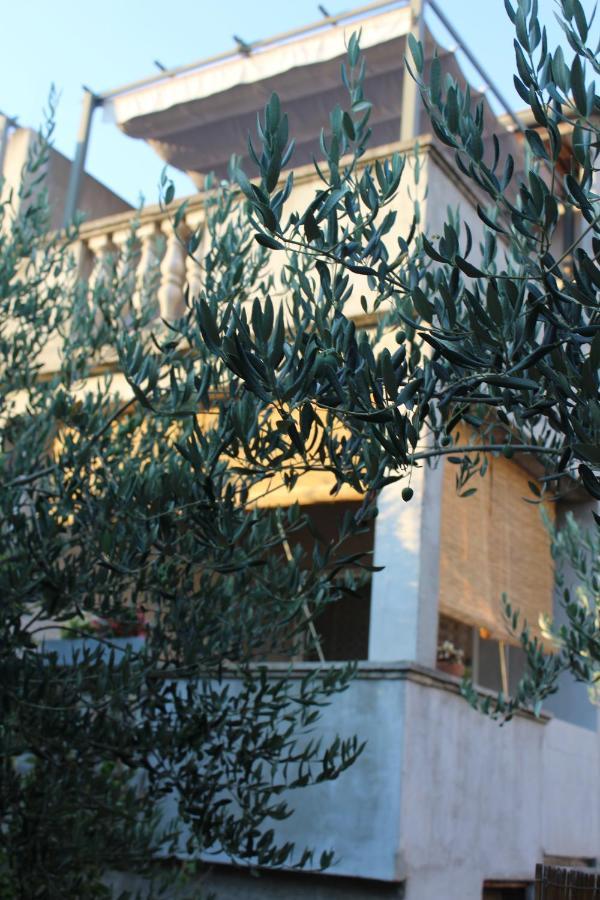 Apartments & Rooms Tea Zadar Exterior foto